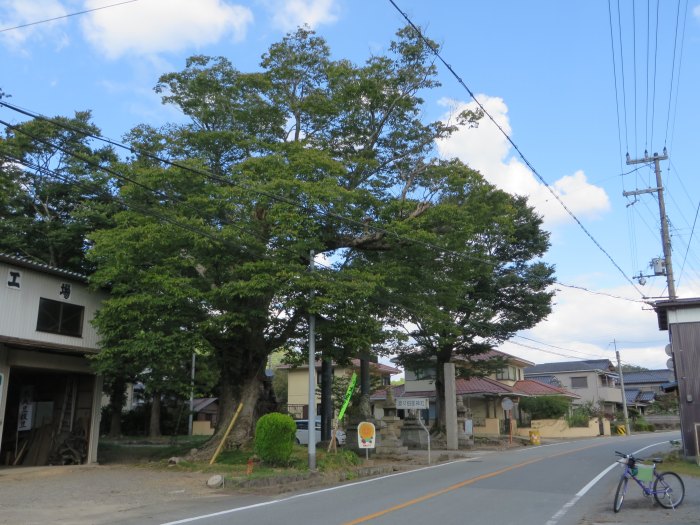 丹波篠山市波々伯部/波々伯部神社写真