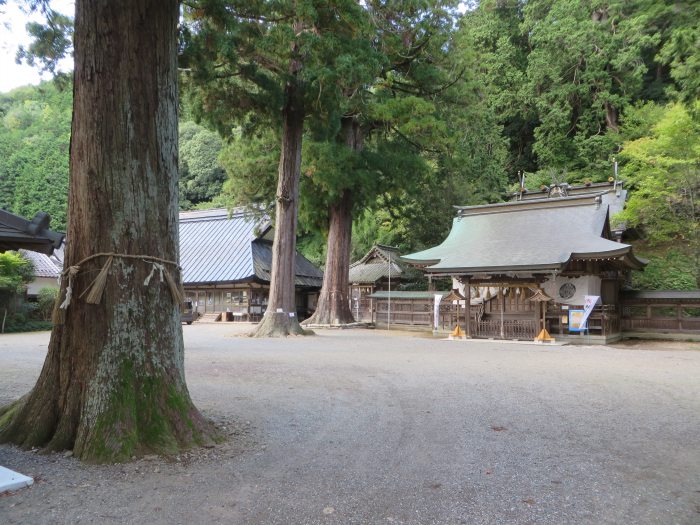 丹波篠山市波々伯部/波々伯部神社写真