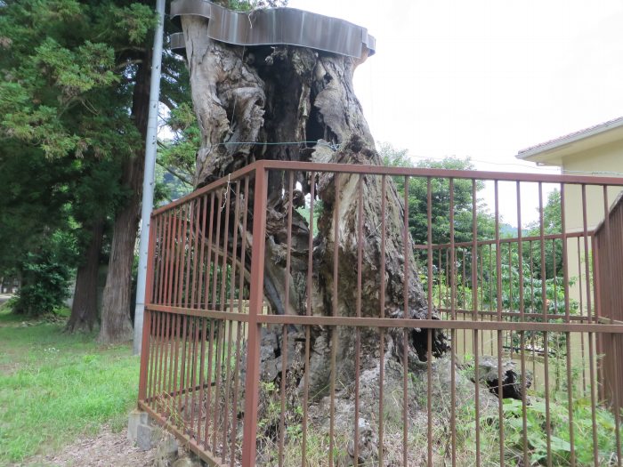 丹波篠山市波々伯部/波々伯部神社写真