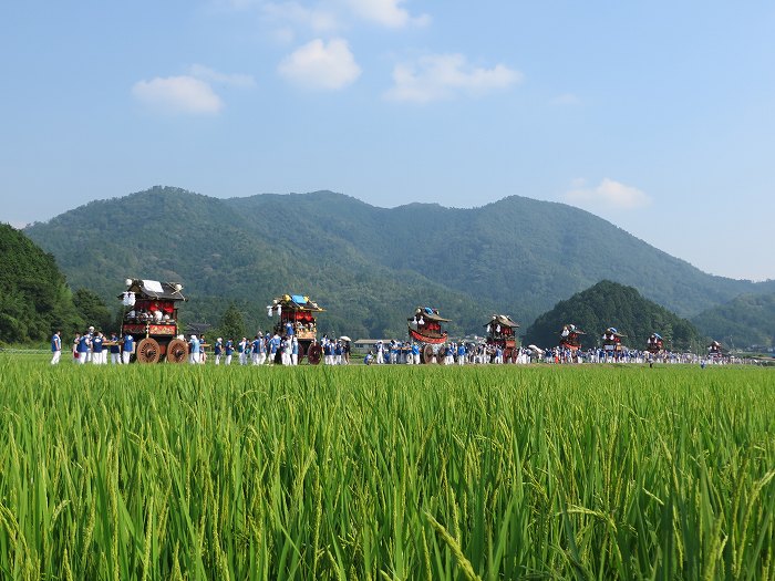 丹波篠山市波々伯部/波々伯部神社山車八基の揃い踏み写真