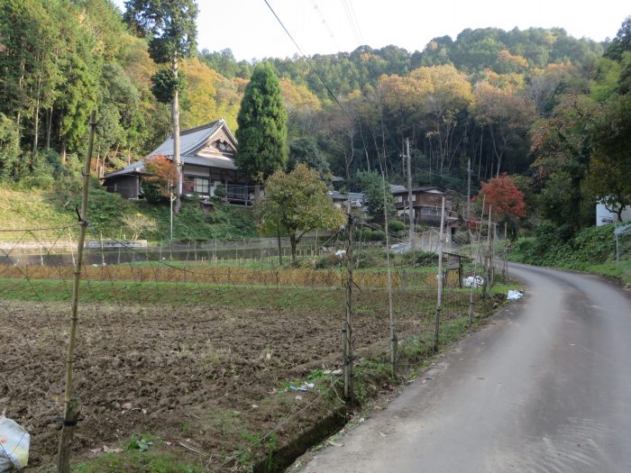 丹波篠山市箱谷/光明寺写真