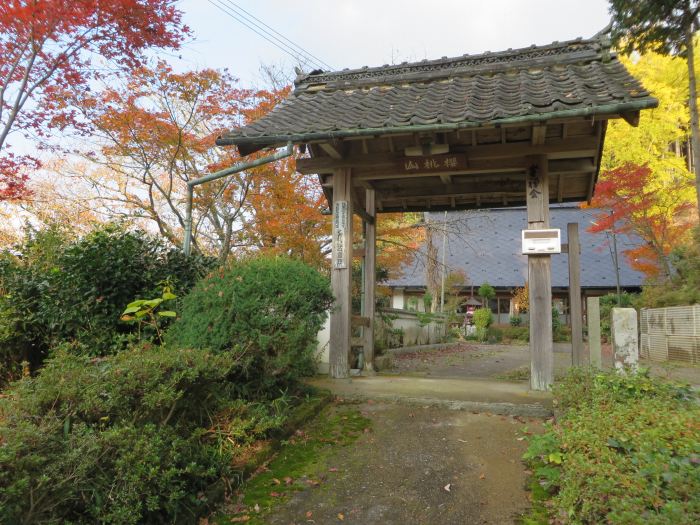 丹波篠山市二之坪/桜桃山東林寺写真