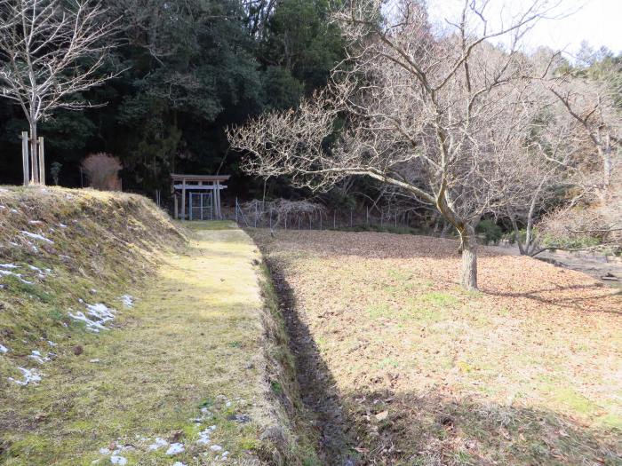 丹波篠山市小野奥谷/熊野神社鳥居写真