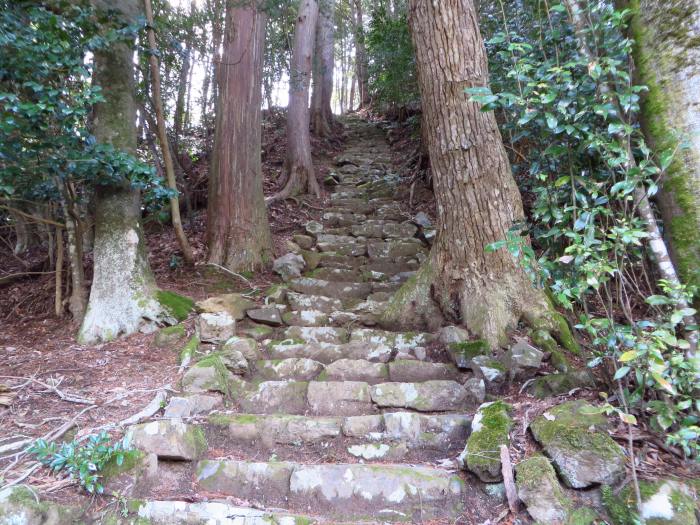 丹波篠山市小野奥谷/熊野神社石段写真