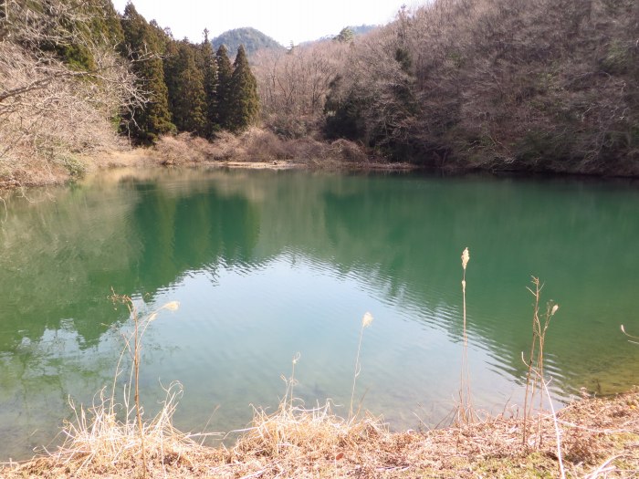 丹波篠山市小野奥谷/奥谷池写真