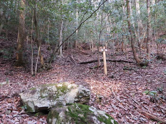 丹波篠山市辻/東山城址竪堀写真