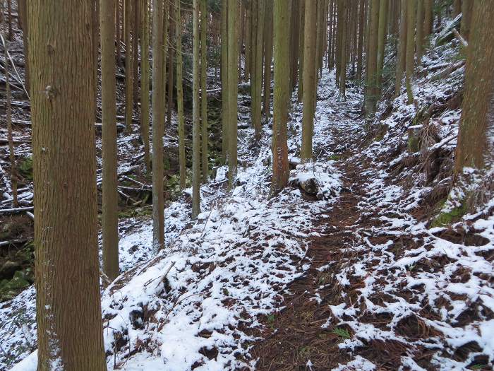 丹波篠山市辻/北中山写真