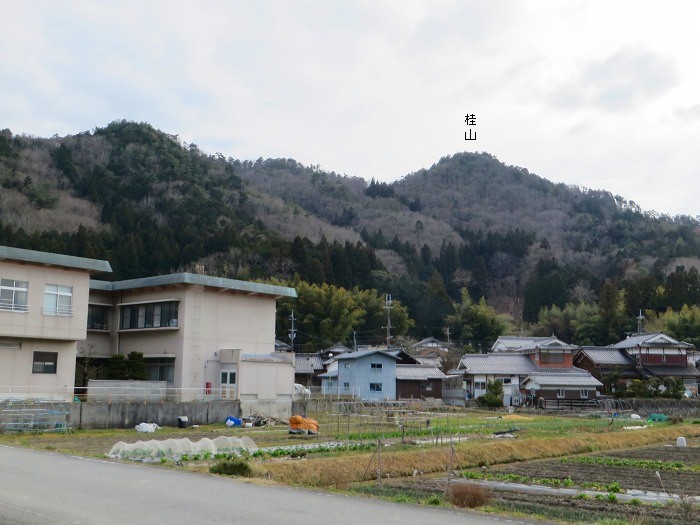 丹波篠山市小野奥谷/桂山、西奥山砦跡写真