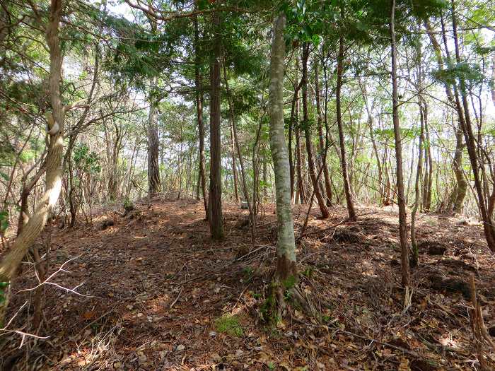 丹波篠山市小野奥谷/桂山、西奥山砦跡写真