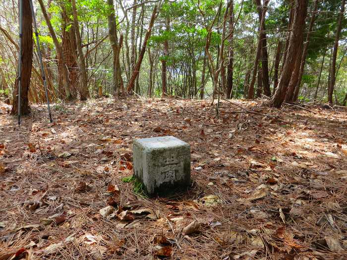 丹波篠山市小野奥谷/桂山、西奥山砦跡写真