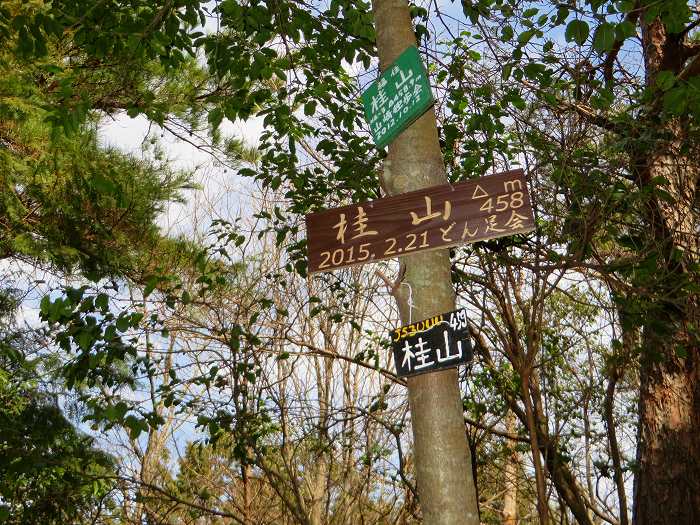 丹波篠山市小野奥谷/桂山、西奥山砦跡写真