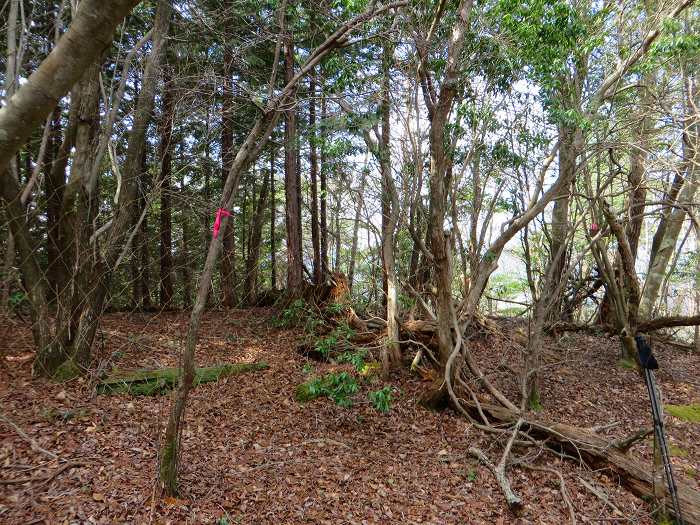 丹波篠山市小野奥谷/仁入道山、仁木城跡写真