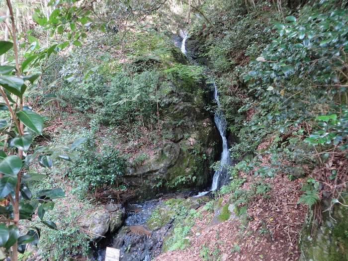 丹波篠山市川原/ささやまの森公園池坂の滝写真