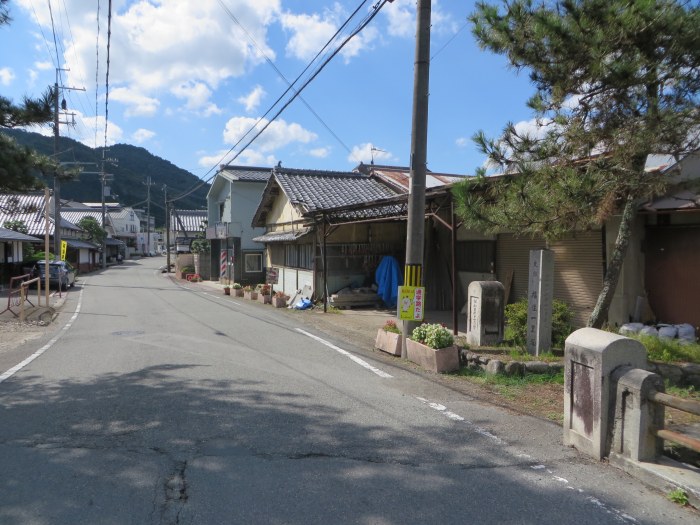 丹波篠山市福住/福住の一里松写真