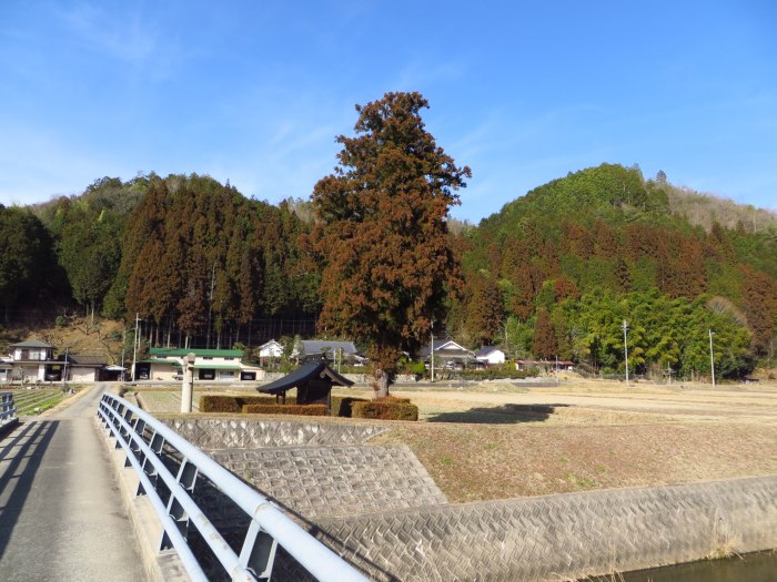 丹波篠山市本明谷/住吉神社御旅所写真