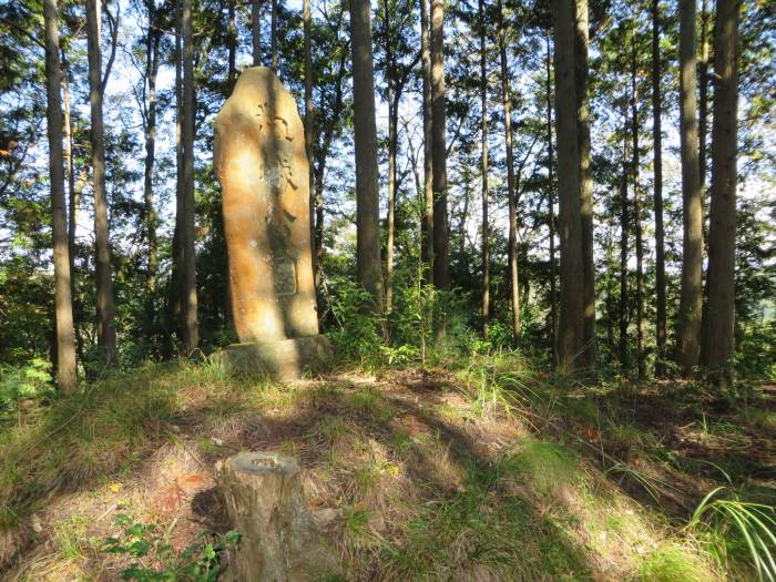 丹波篠山市福住/籾城公園石塔写真