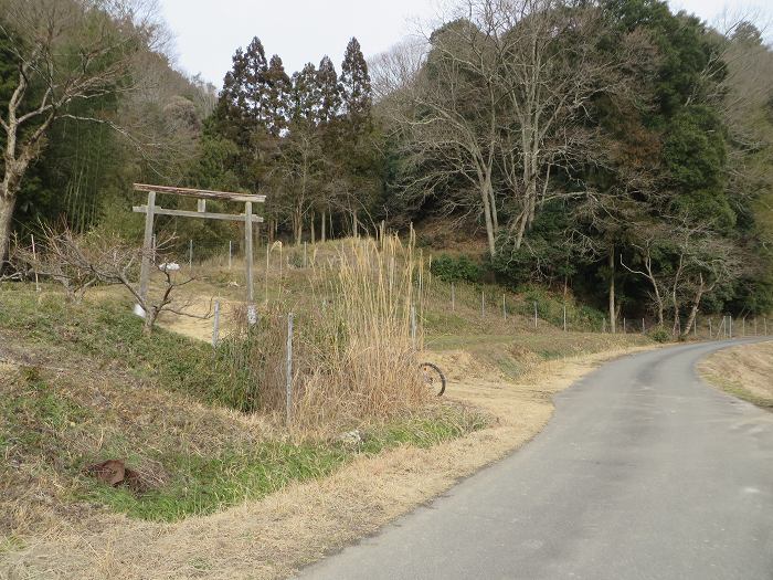 丹波篠山市福住/社写真