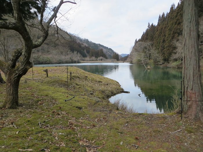 丹波篠山市福住/福住大池写真