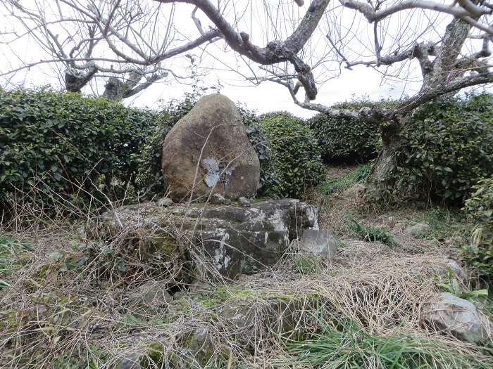 丹波篠山市福住/的場古墳写真