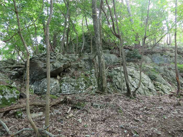 丹波篠山市川原/満燈山蛇岩写真