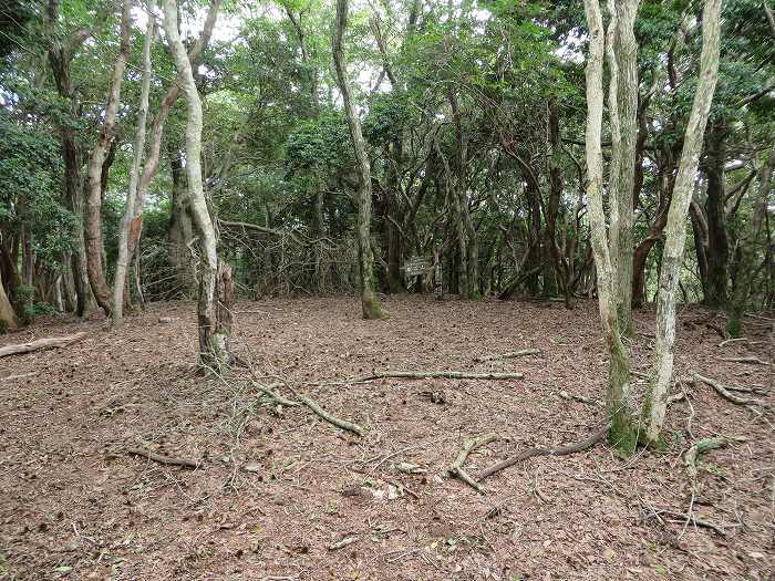 丹波篠山市川原/舩谷山写真