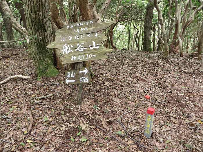 丹波篠山市川原/舩谷山写真