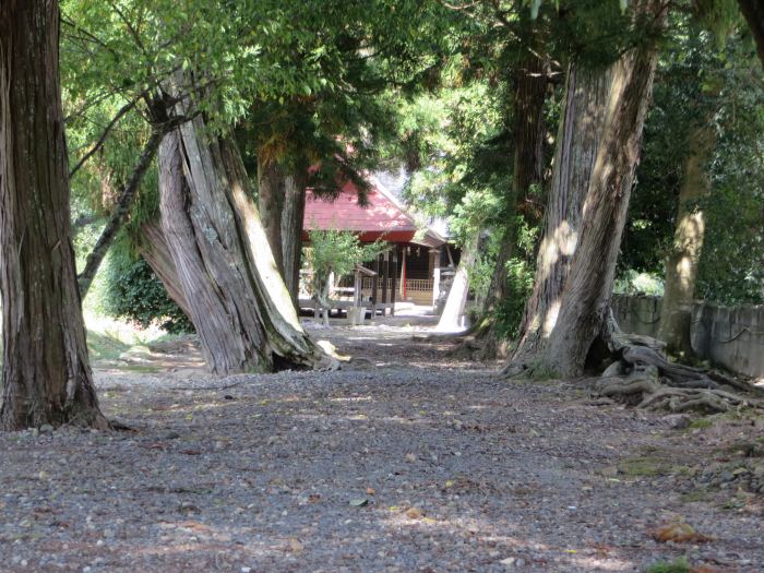 丹波篠山市西野々/松森天満宮参道写真