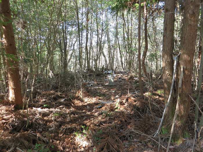 丹波篠山市西野々/嶽筋山頂写真