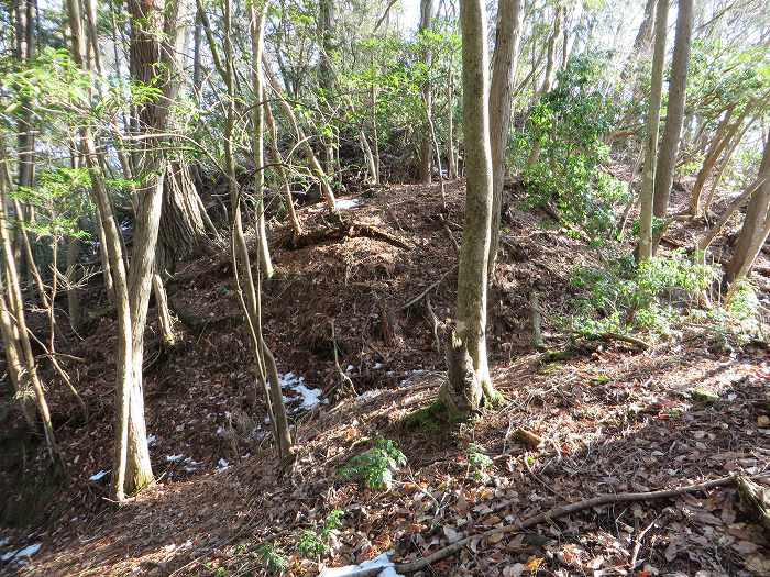 丹波篠山市安口/安口城西砦跡写真