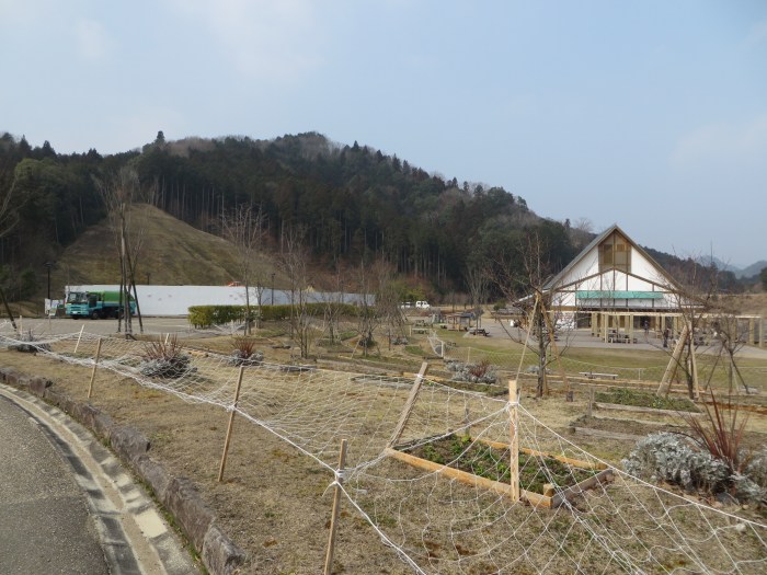 丹波篠山市西古佐/丹波並木道中央公園写真