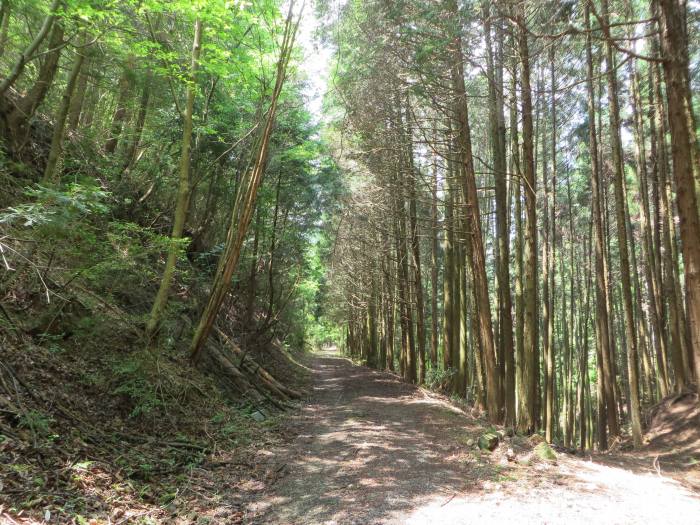 丹波篠山市味間北/山立池写真