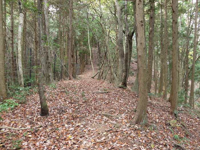 丹波篠山市西古佐/御釈迦山遊歩道写真