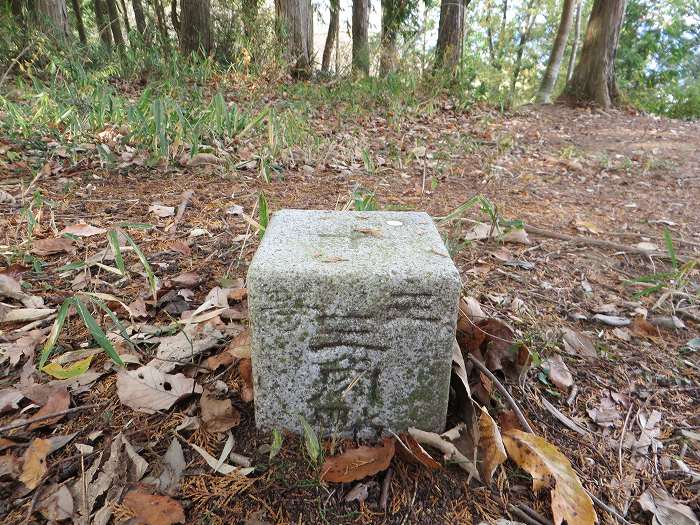 丹波篠山市西古佐/御釈迦山三等三角点写真