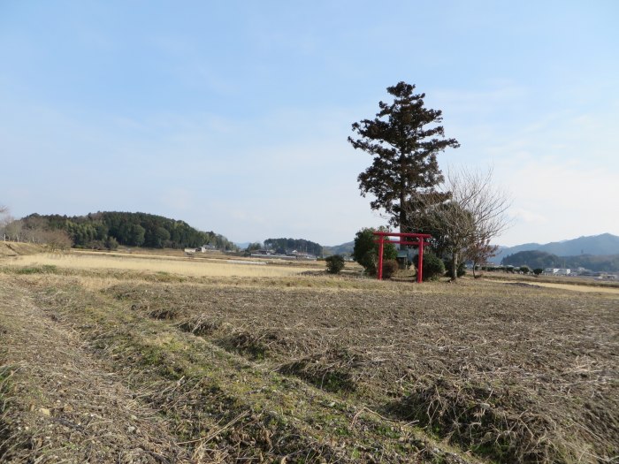 丹波篠山市川北新田/神社写真