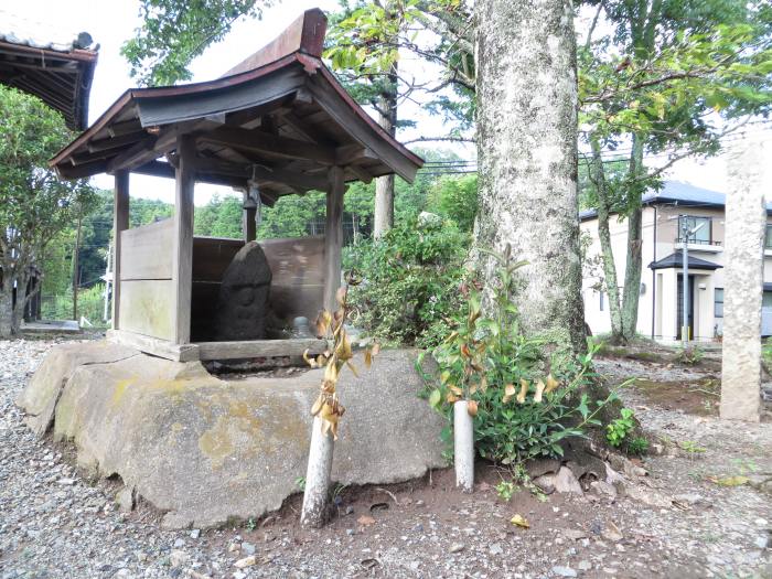 丹波篠山市東古佐/七面大明神写真