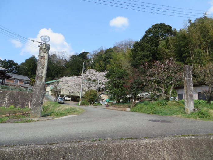 丹波篠山市西岡屋/安生山大膳寺写真