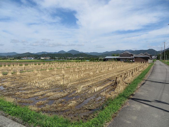 丹波篠山市東古佐/景色写真