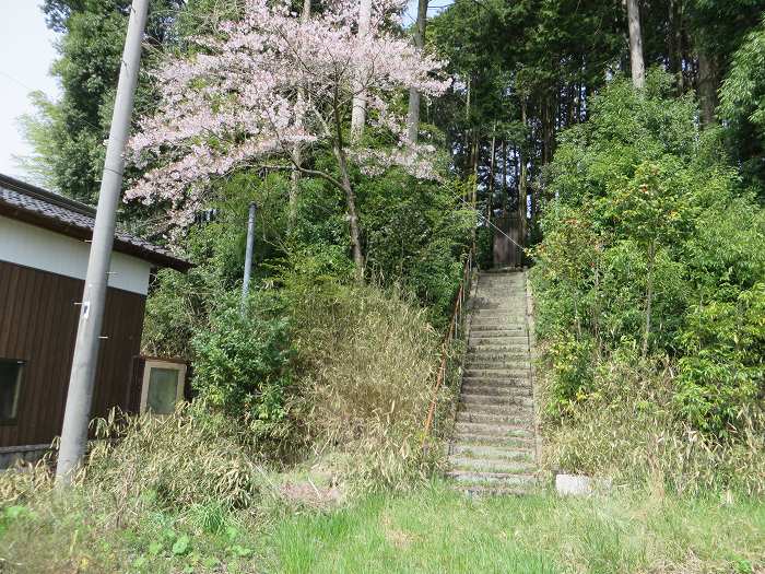 丹波篠山市東古佐/鶴翁寿碑写真