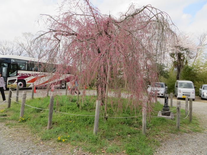 丹波篠山市北新町/篠山高等女学校跡写真