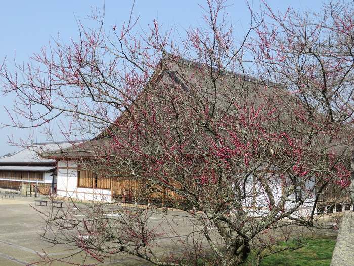 丹波篠山市北新町/青山神社写真