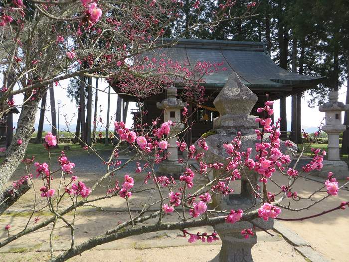 丹波篠山市北新町/青山神社写真