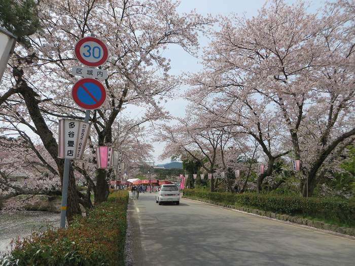 丹波篠山市北新町/篠山城跡写真