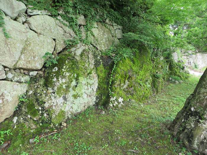 丹波篠山市北新町/篠山城跡写真