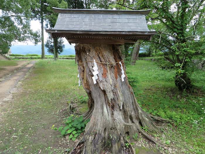 丹波篠山市北新町/青山神社写真