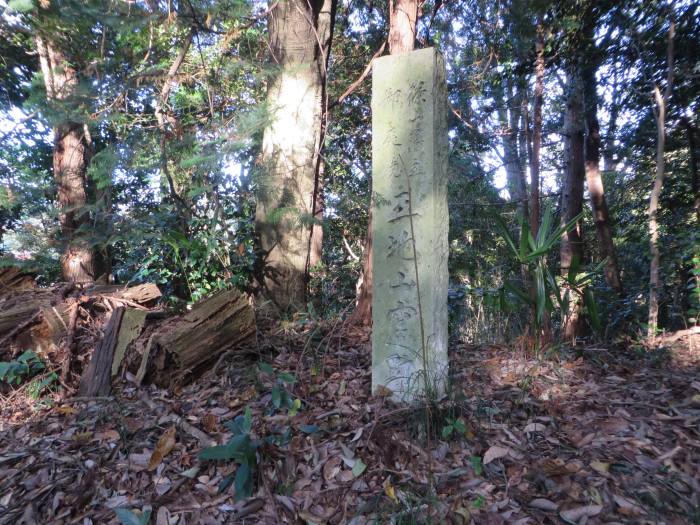 丹波篠山市立町/王地山窯跡写真