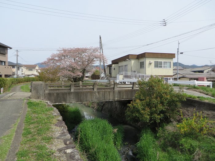 丹波篠山市東新町/景色写真