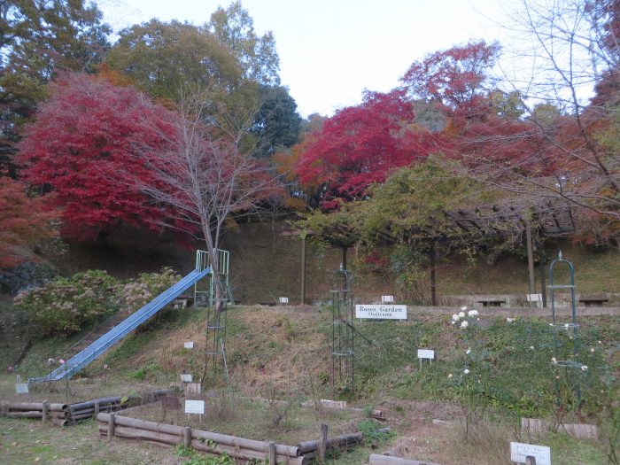 丹波篠山市河原町/王地山公園写真