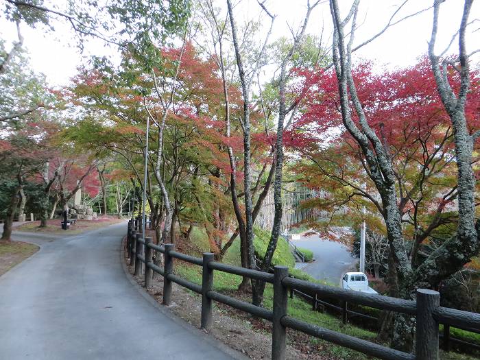 丹波篠山市河原町/王地山公園写真