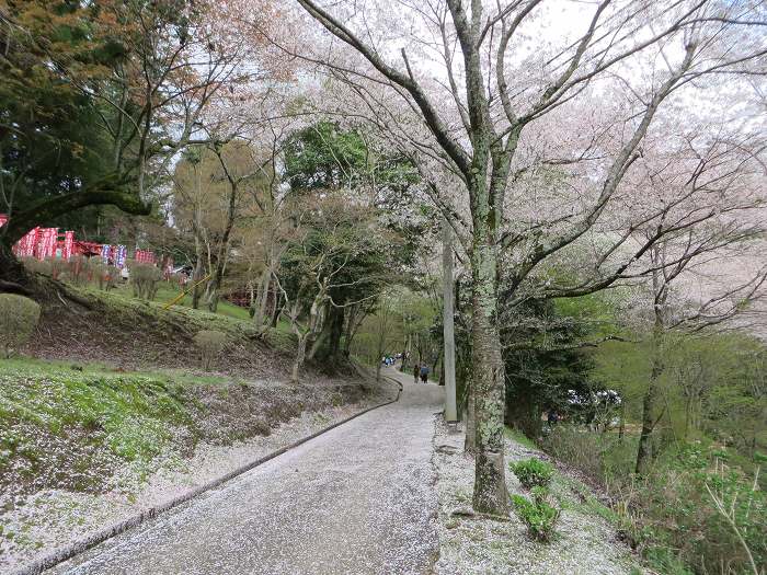 丹波篠山市河原町/王地山公園写真