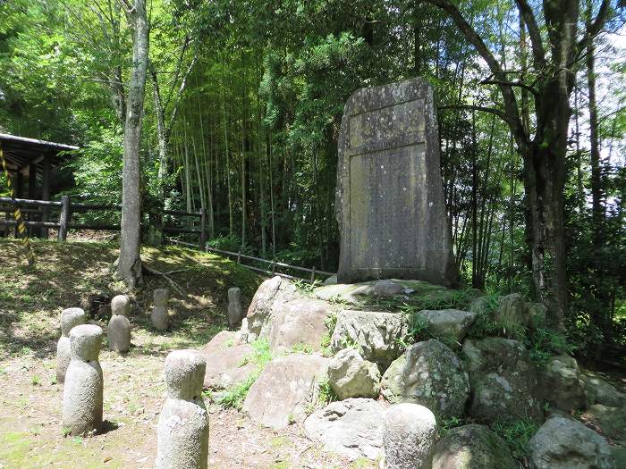 丹波篠山市河原町/王地山公園写真